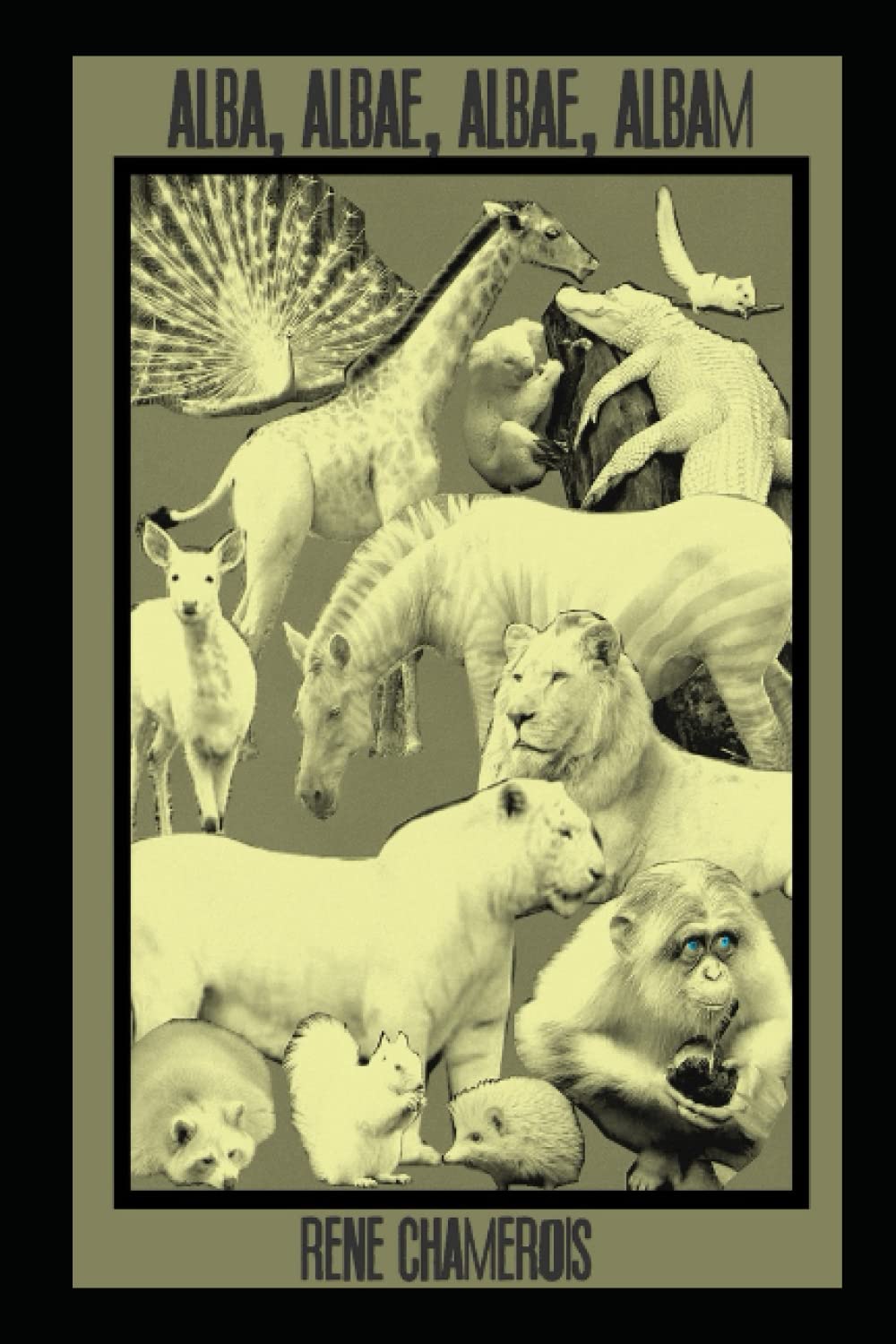 Independently published ALBA, ALBE, ALBAE, ALBAM