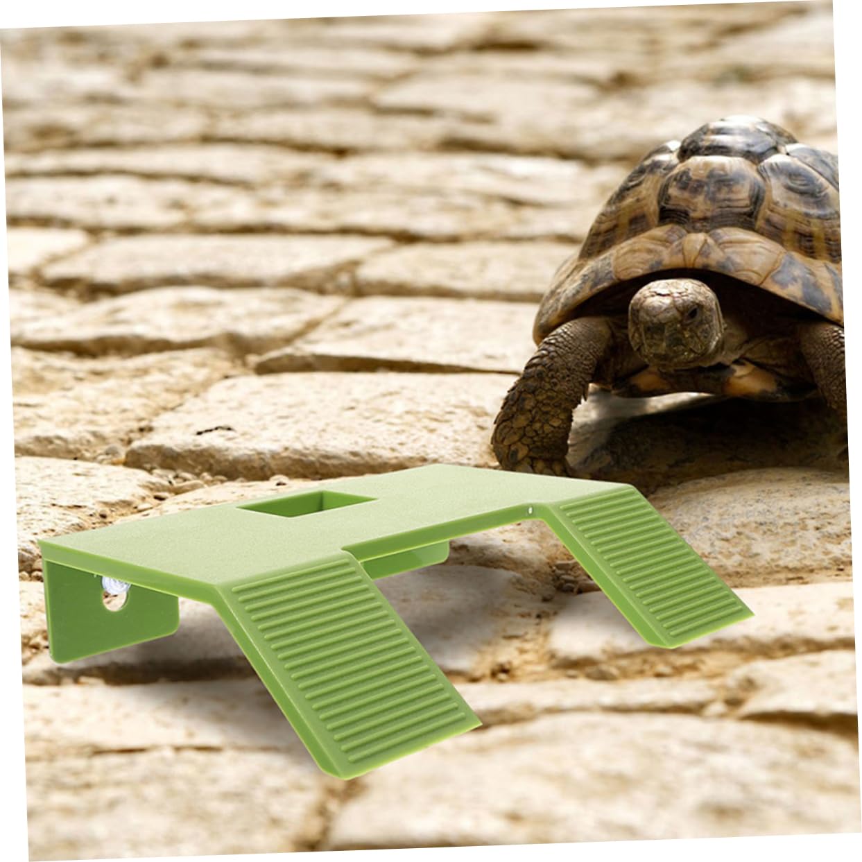 BESPORTBLE 4pezzi Piattaforma Galleggiante per Tartarughe con Ventosa Terreno di Basking per Acquari e Terrari Accessorio per Rettili Facile da Usare e Leggero