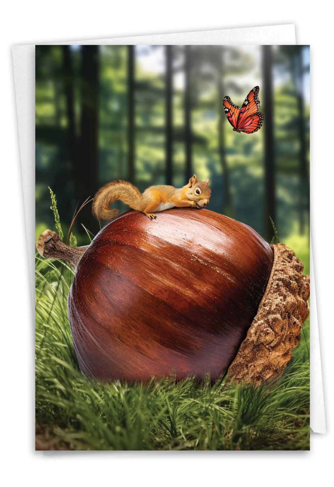 NobleWorks, Funny Birthday Greeting Card with 5 x 7 Inch Envelope (1 Card) Bday Big Nut C10834BDG — image 1