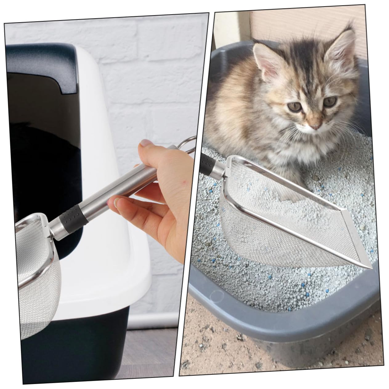 Pala para Limpiar Excrementos De Reptiles y Gatos Orificios para Drenaje y Limpieza Efectiva
