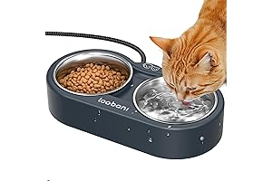 Deluxe Heated Bowl: Stay Warm and Dine Like Royalty