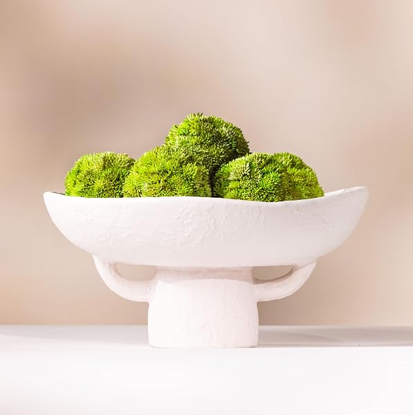 Laurel and Vine Specked White Textured Ceramic Decorative Bowl with Succulent Balls for Counter Top, Farmhouse Table Cen