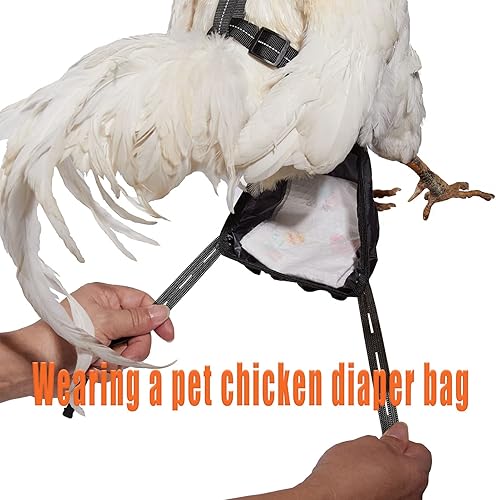Miniatura 4 de Arnés de pollo tamaño gallina con correa a juego de 6 pies lavable para mascotas, para pollitos, gansos, patos y más - Facilita el entrenamiento y