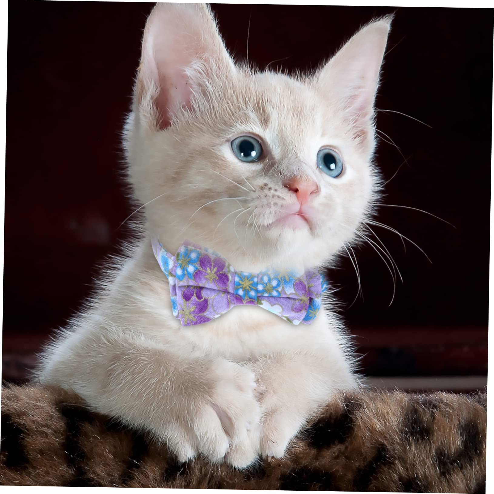 Sosoport 2 Sets Verstellbares Katzenhalsband mit Glöckchen Fliege Halskette Blumenmotiv für Entzückende Haustiere 3 Stück