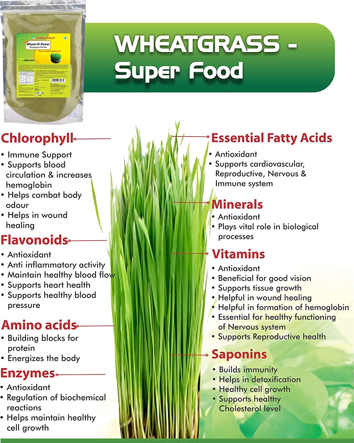 Herbal Hills Wheatgrass Powder, (500 gm Pack) | Supports Detox, Immunity & Energy | Ayurvedic Green Superfood For Daily Wellness & Alkaline Balance | With Fresh Wheatgrass Leaves - Image 4 thumbnail