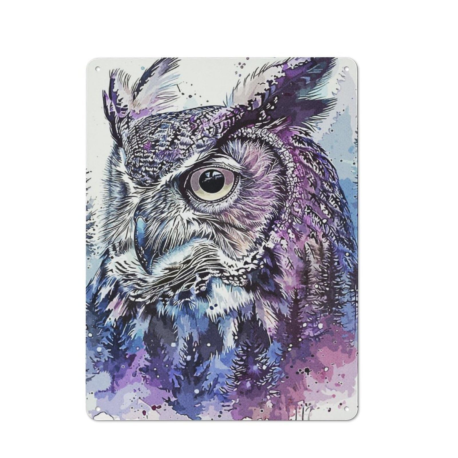 Junmoney Owl Paint Metal Wall Sign 40X30cm Featuring For Living Room Wall, For Decorating Living Rooms And Feature Walls