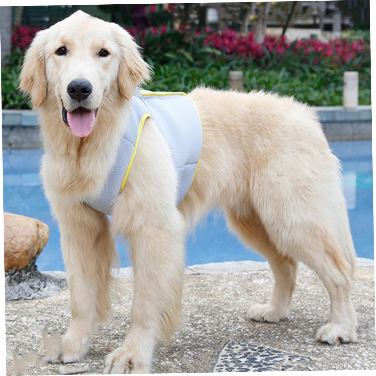 Happyyami Gilet Refroidissant pour Chien XL Aérée Et Respirante pour De Refroidissement pour Chiens Et Chiots Design Pratique pour Activités Plein Air