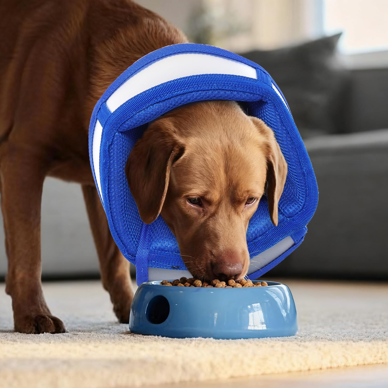 Bequemer Kegel für große Hunde, um das Lecken zu stoppen – Verstellbares elisabethanisches E-Halsband für nach Operationen, zur Genesung von Neuter und Wunden, leicht, atmungsaktiv, verhindert Beißen