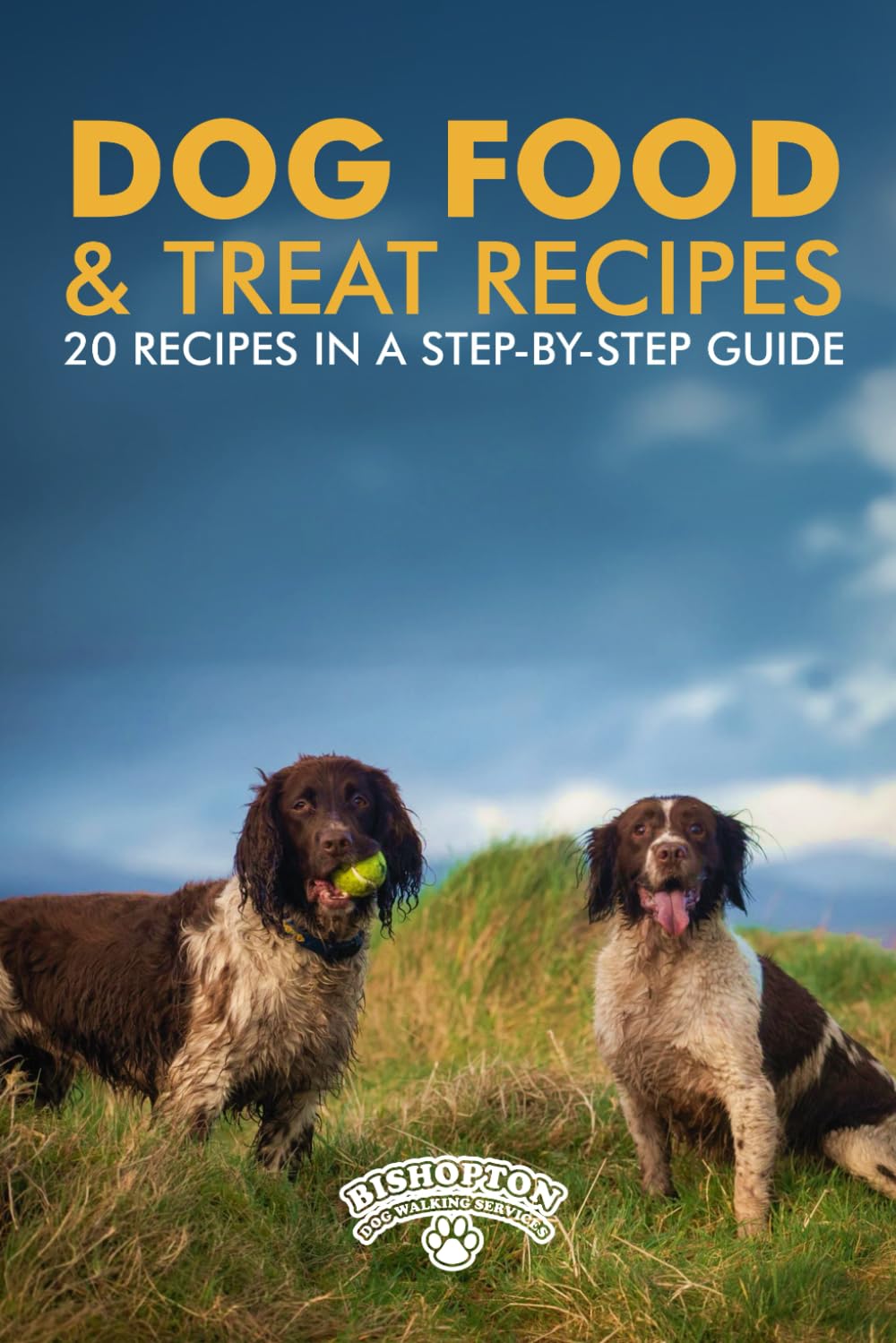 Dog Food & Treat Recipes