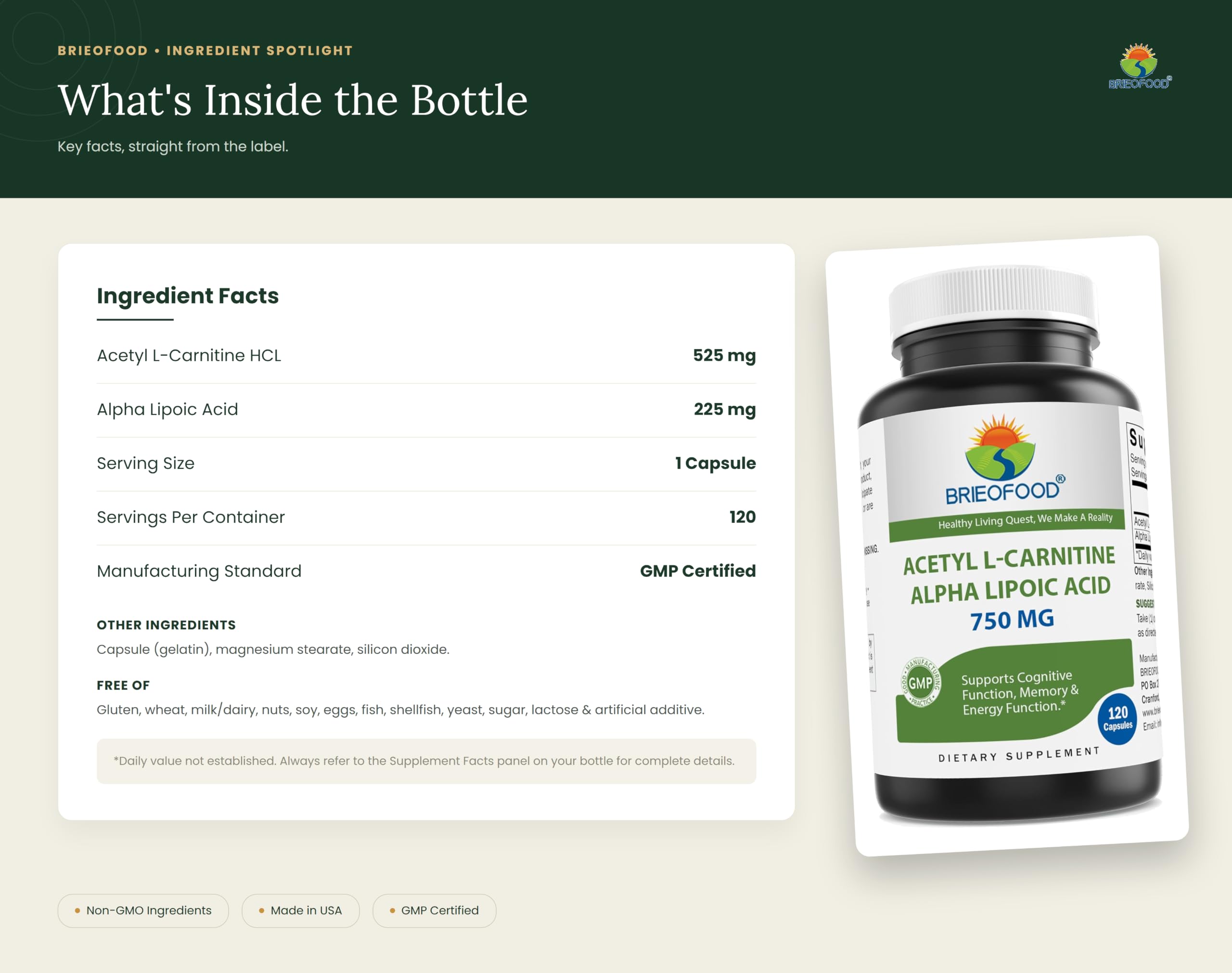 Brieofood Acetyl L-Carnitine Alpha Lipoic Acid (ALA ALC) 750 mg 120 Capsules : Everything Else