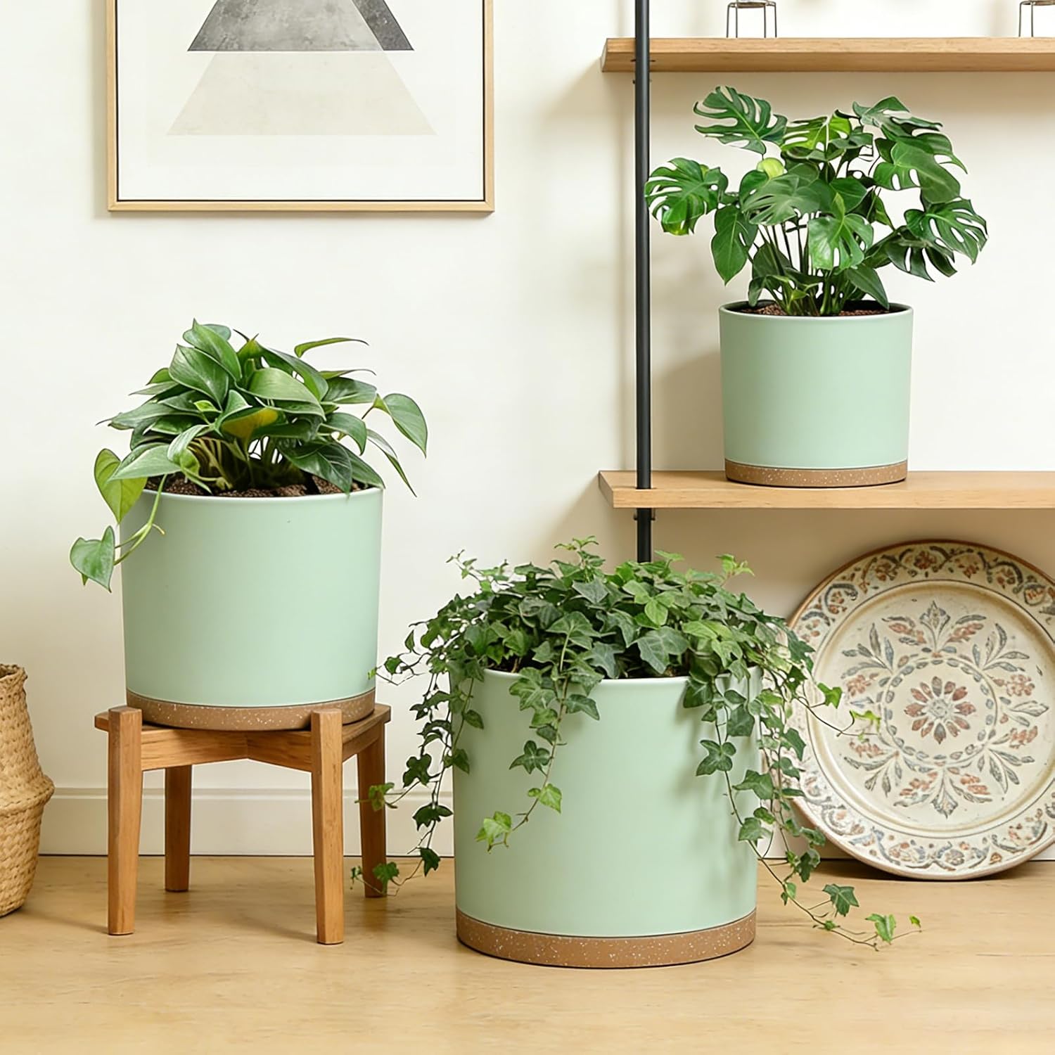 Large Plant Pots Set of 3 – 8", 9", 10" Indoor Flower Pots with Drainage Holes and Saucers, Big Planters for Monstera, Fiddle Leaf Fig, Snake Plant – 5 Colors