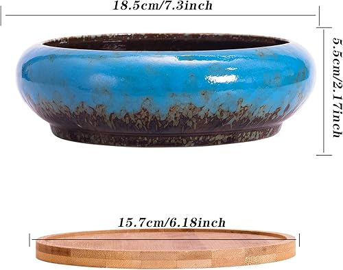 Miniatura 3 de ARTKETTY Macetas para suculentas  Macetas grandes para suculentas con drenaje, macetas de cerámica para bonsái de 7.3 pulgadas con bandeja de bambú,
