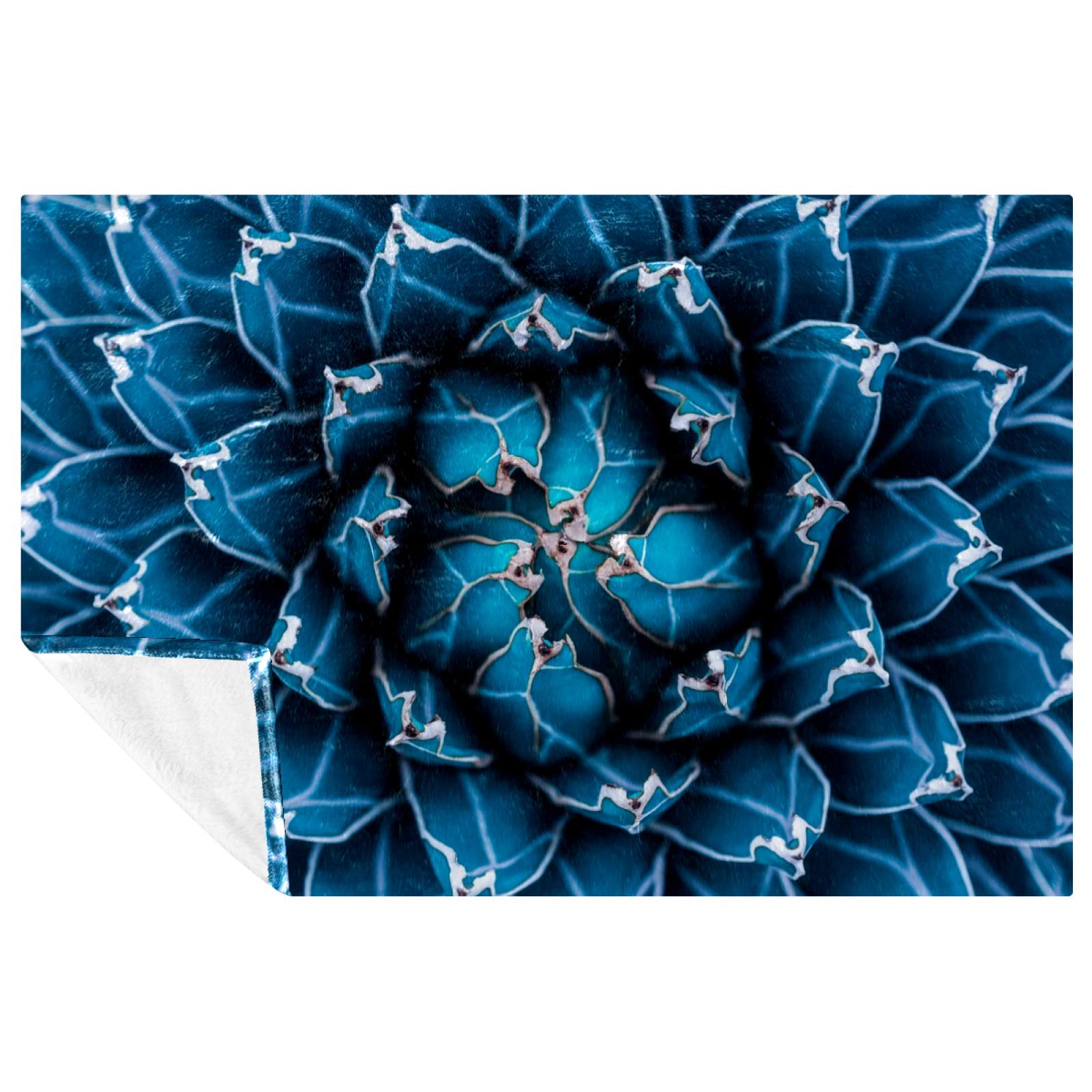 Couverture douce de pique-nique et plage motif agave pour l'été