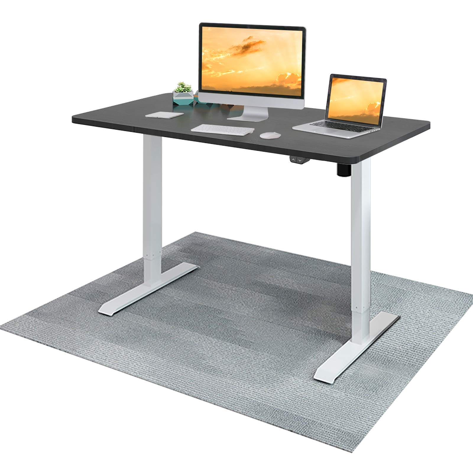 Flexispot EC1 60" Large Height Adjustable Desk, Electric Sit Stand up Desk Home Office Table Seiffen