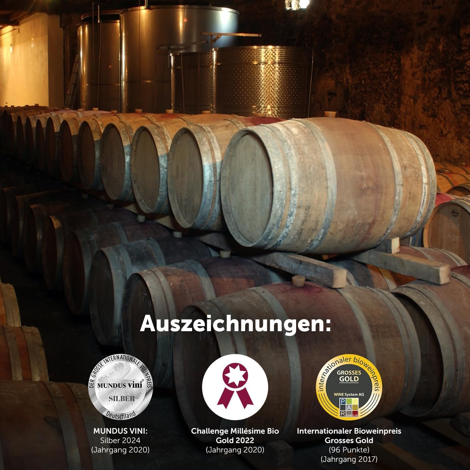 DELINAT Sainte-Foy 2021 – Französischer Bio-Rotwein trocken aus Bordeaux | Veganer Cuvée aus Merlot und Cabernet Franc, im Barrique ausgebaut, komplex & säurearm 6 x 0,75l