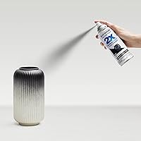 Vista 6 de Rust-Oleum 334020 Painter's Touch 2X Ultra Cover - Pintura en aerosol, 12 oz, negro plano
