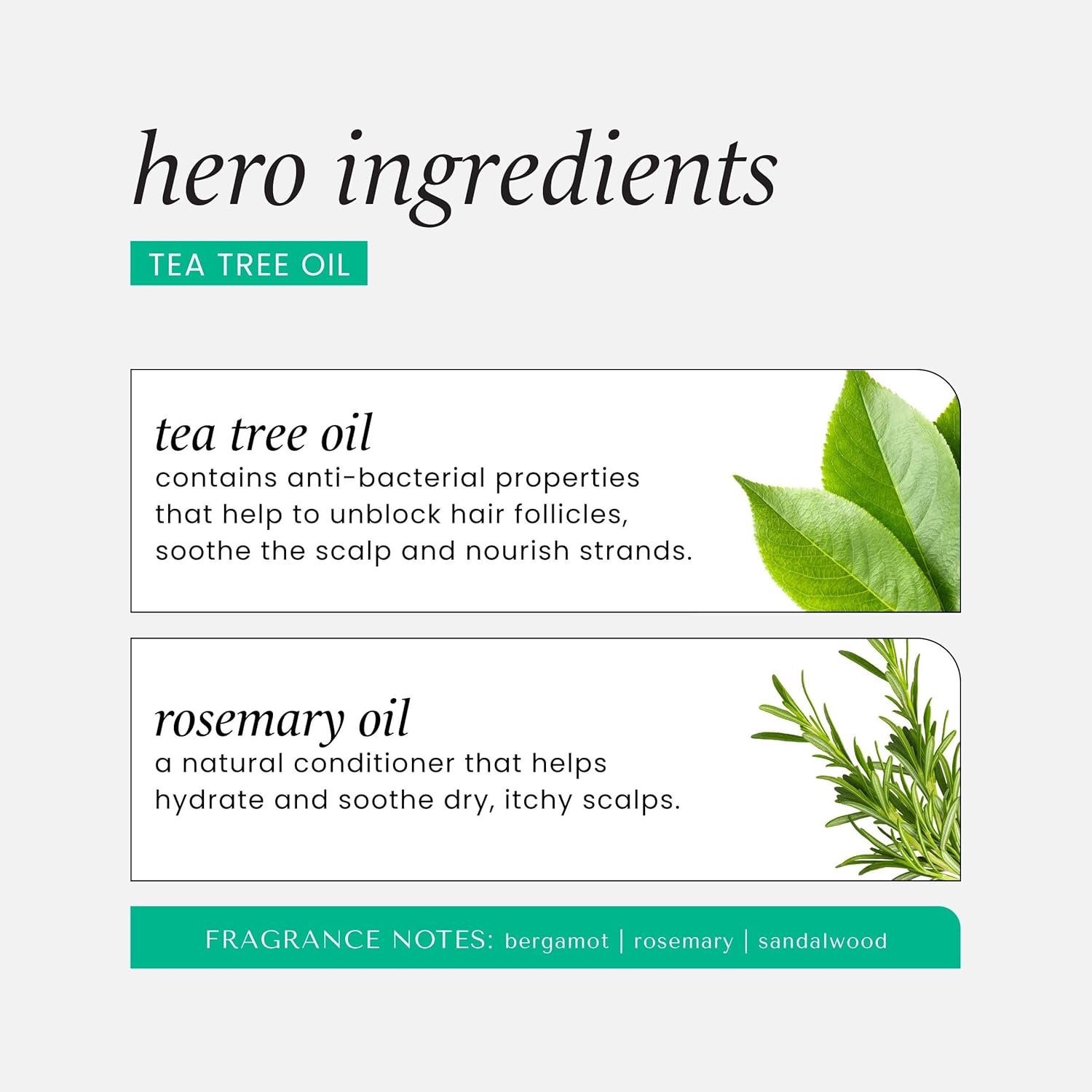 HASK Tea Tree Oil 5-in-1 Leave-In Conditioner, Soothing and Restoring for All Hair Types, colour safe, gluten-free, sulfate-free, paraben-free - 1 175mL Bottle 8 71+f0XvN73L. AC SL1500