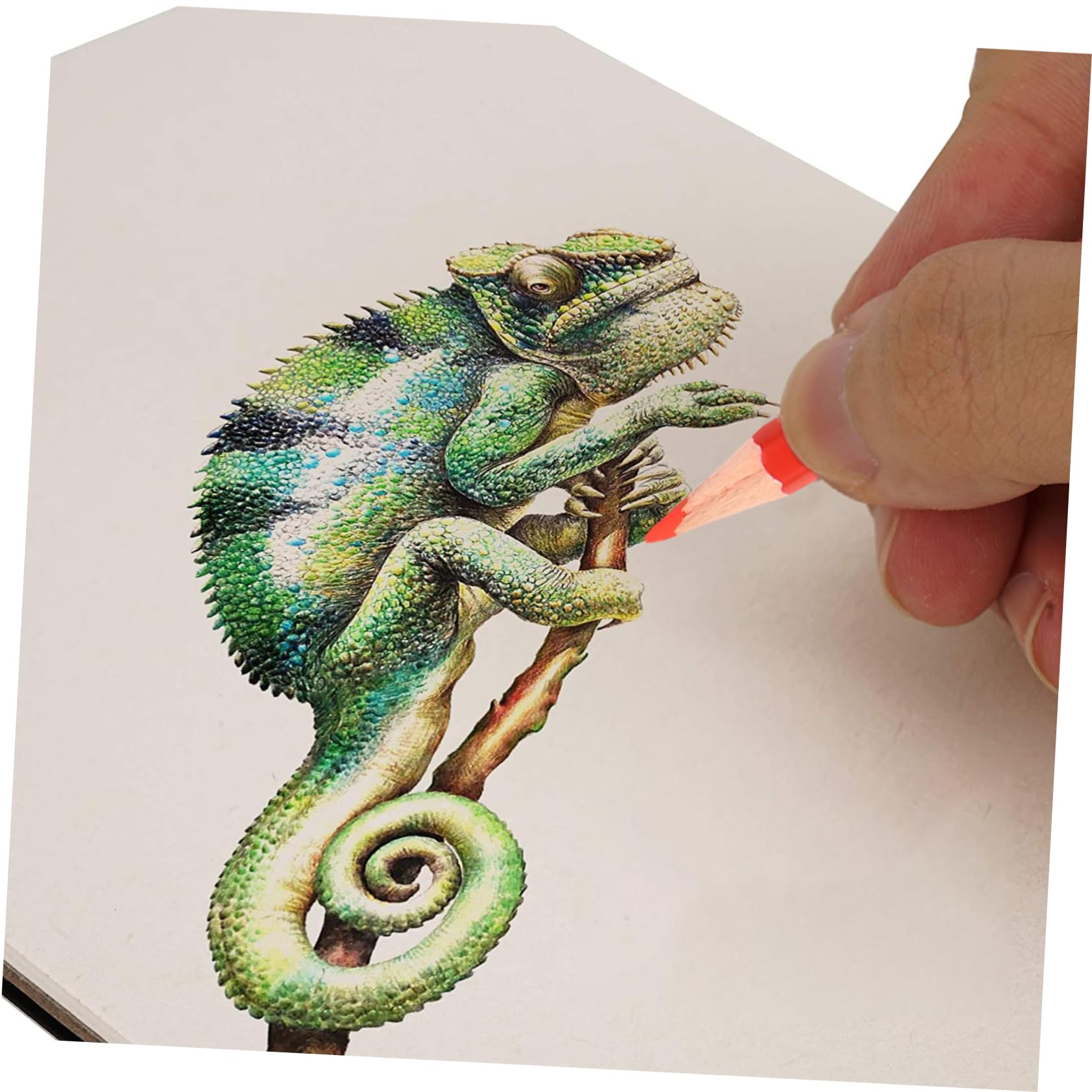 DOITOOL Matite Per Schizzi e Disegno Kit Di Matite Per Principianti Materiale Artistico Per Colorare e Dipingere