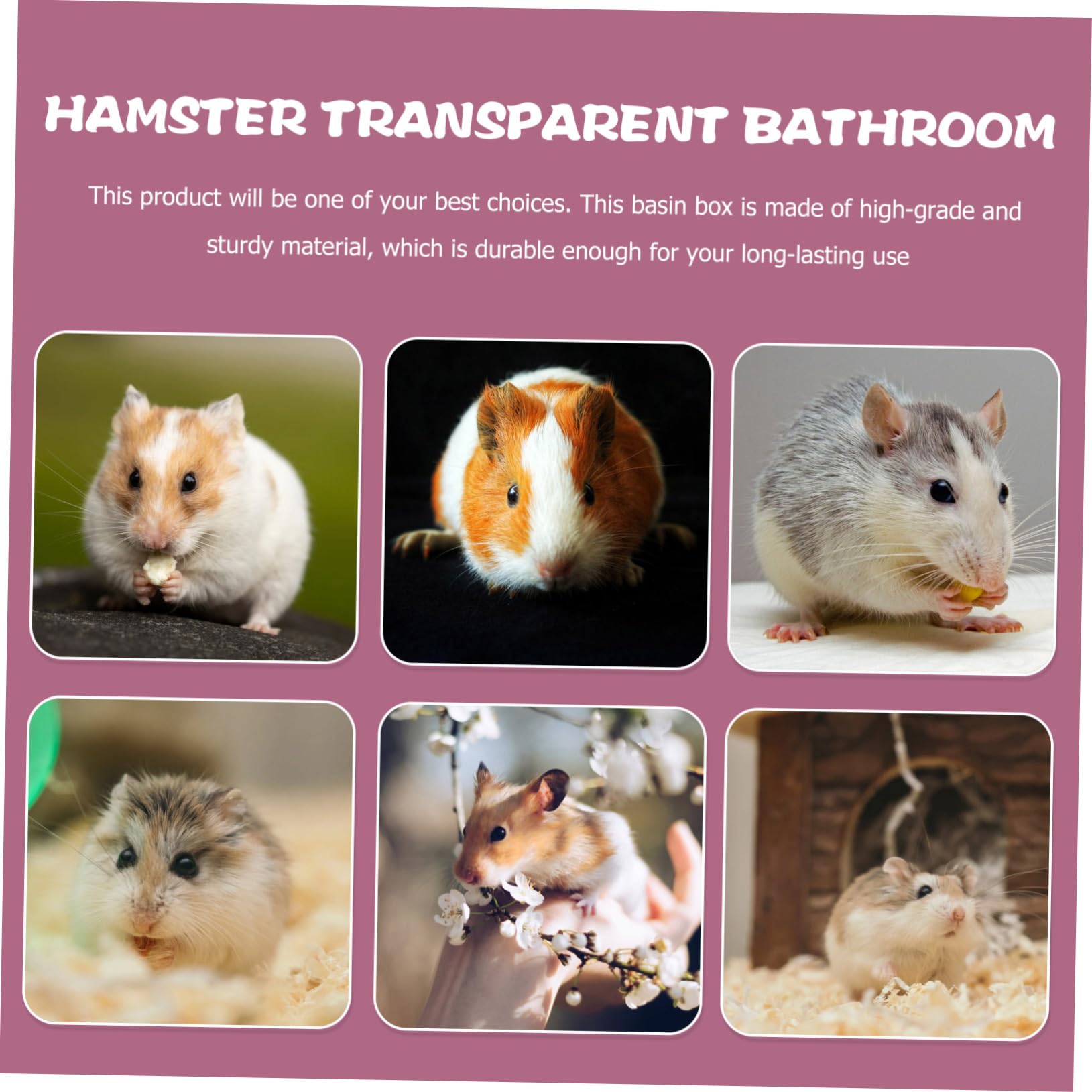 POPETPOP Transparente Hamster Sandbadebox Groß aus Acryl und Holz