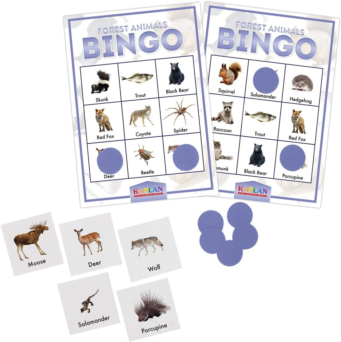 Kaplan Early Learning Forest Animals Bingo Learning Game