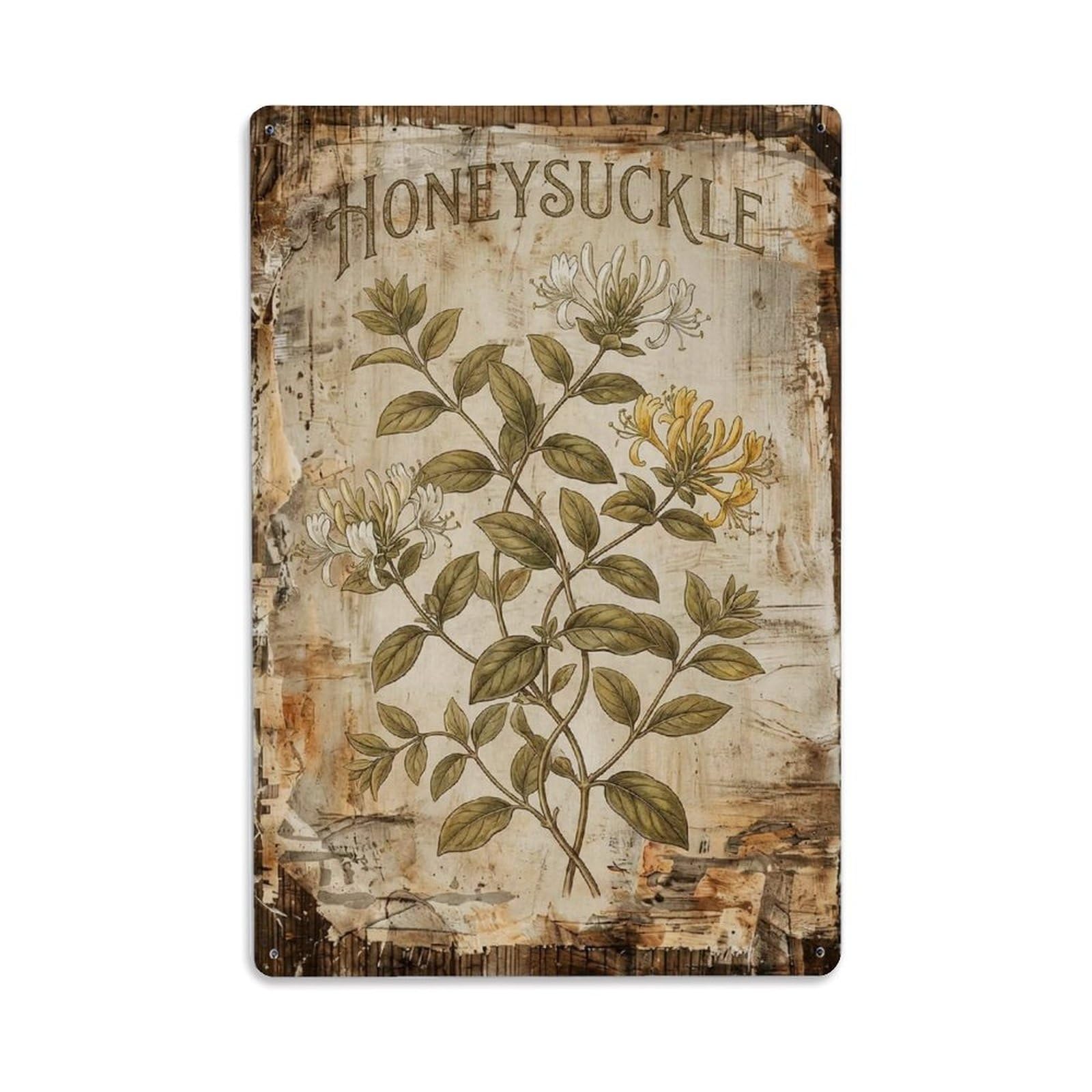 Honeysuckle Botanical Vintage Metal Tin Sign Plaque Wall Decor for Cafe, Club, Garden Metal Poster 8x12Inch