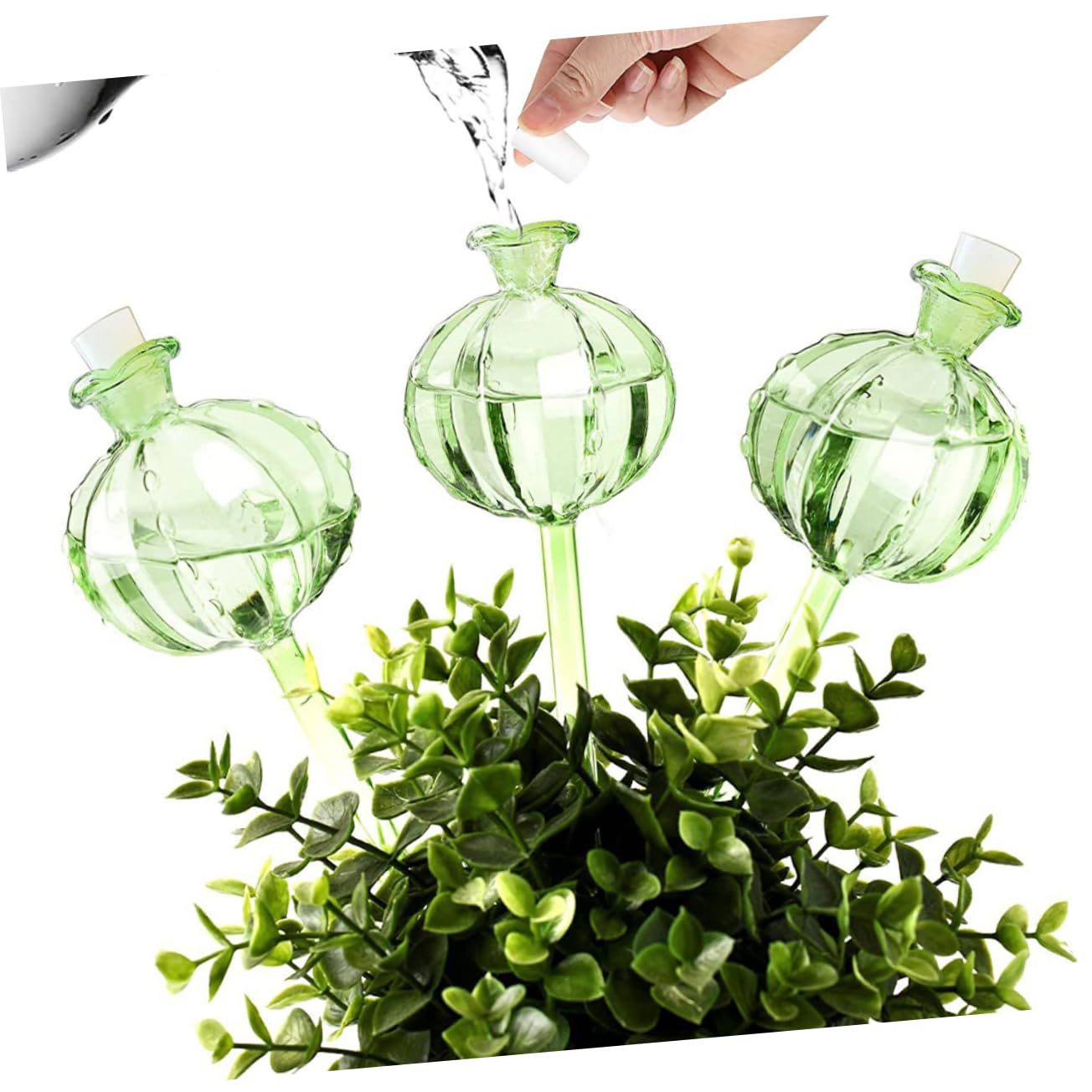 ibasenice Globe D’arrosage en Verre Cactus Vert 4 Pièces pour Plantes