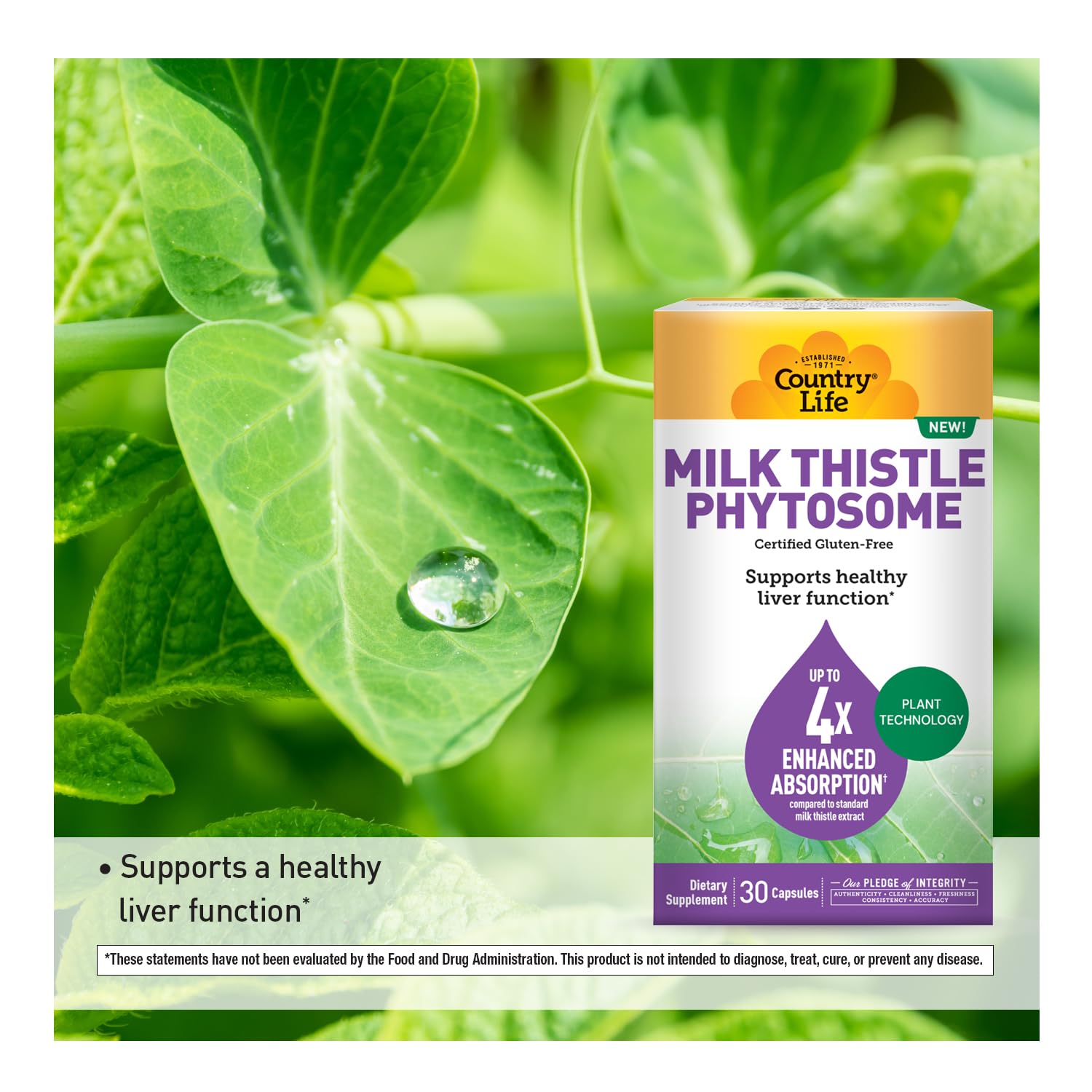 Country Life Milk Thistle Phytosome Supplement, 30 Capsules — Amazon image 4