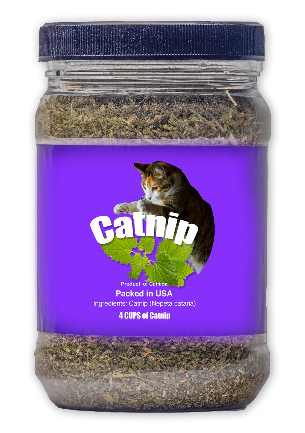 DesertUSA Catnip Blend - North American Crafted, 100% Natural, and Non-Addictive Catnip Treats for Enhanced Playfulness. Ideal for Complementing Catnip Toys (4 Cups) (32 oz)