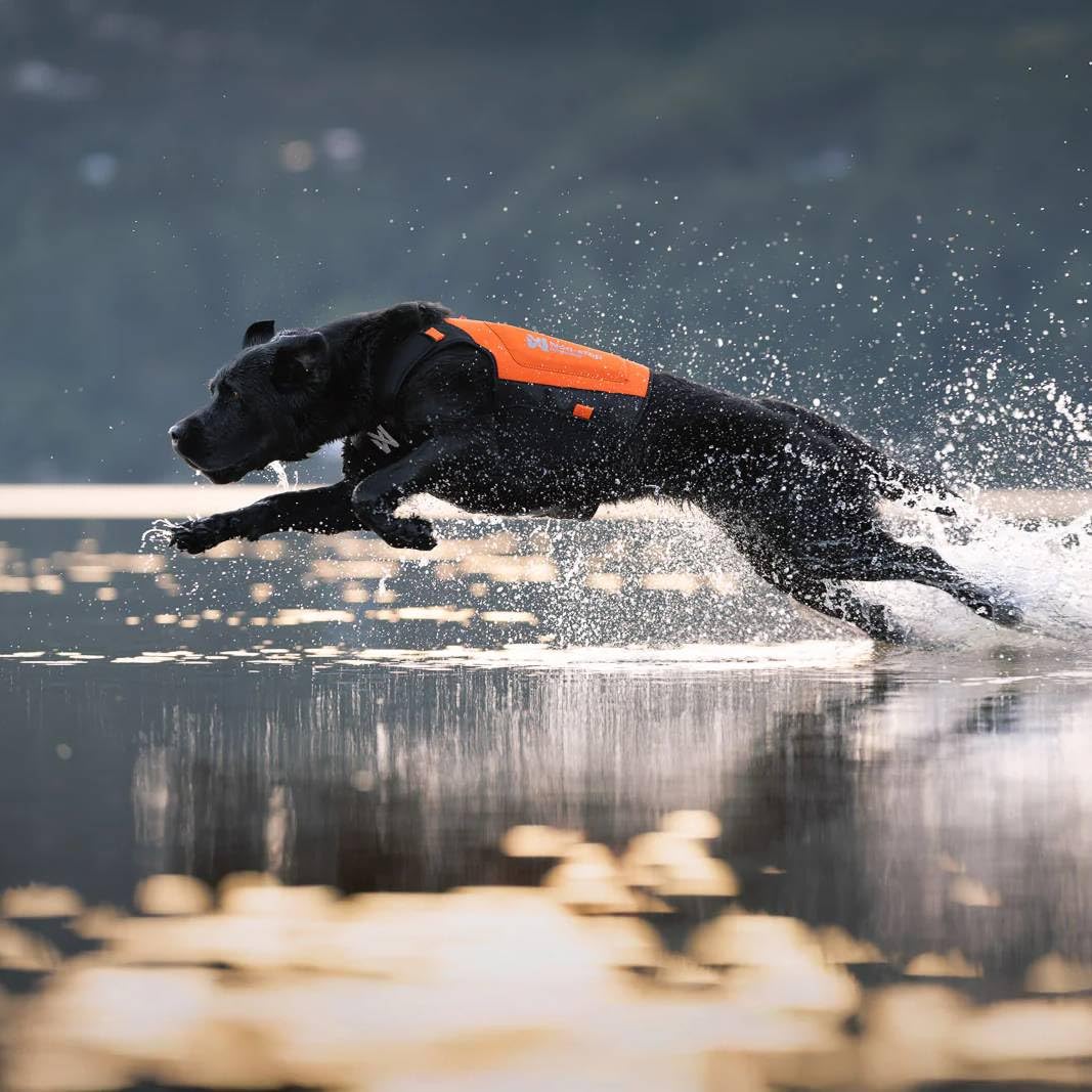 Non-stop dogwear Protector Neopren Hundeweste, Orange/Schwarz, Wasserdicht, Mit Reflektierenden Streifen, Klettverschluss, Für Outdoor und Sicherheit, XS-XL (S)