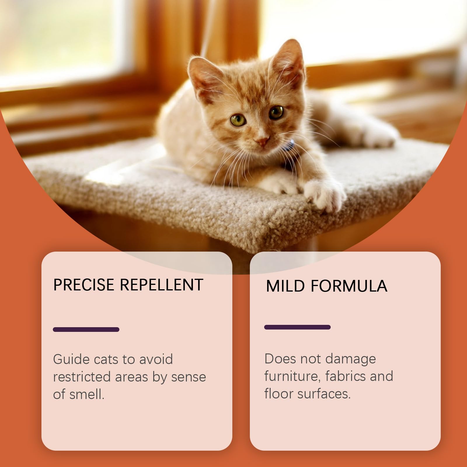 4floz Spray anti-agrumes pour chats - Extraits naturels - Protection des meubles d'intérieur - Contrôle de l'escalade - Pour dressage d'animaux domestiques - Utilisation en intérieur