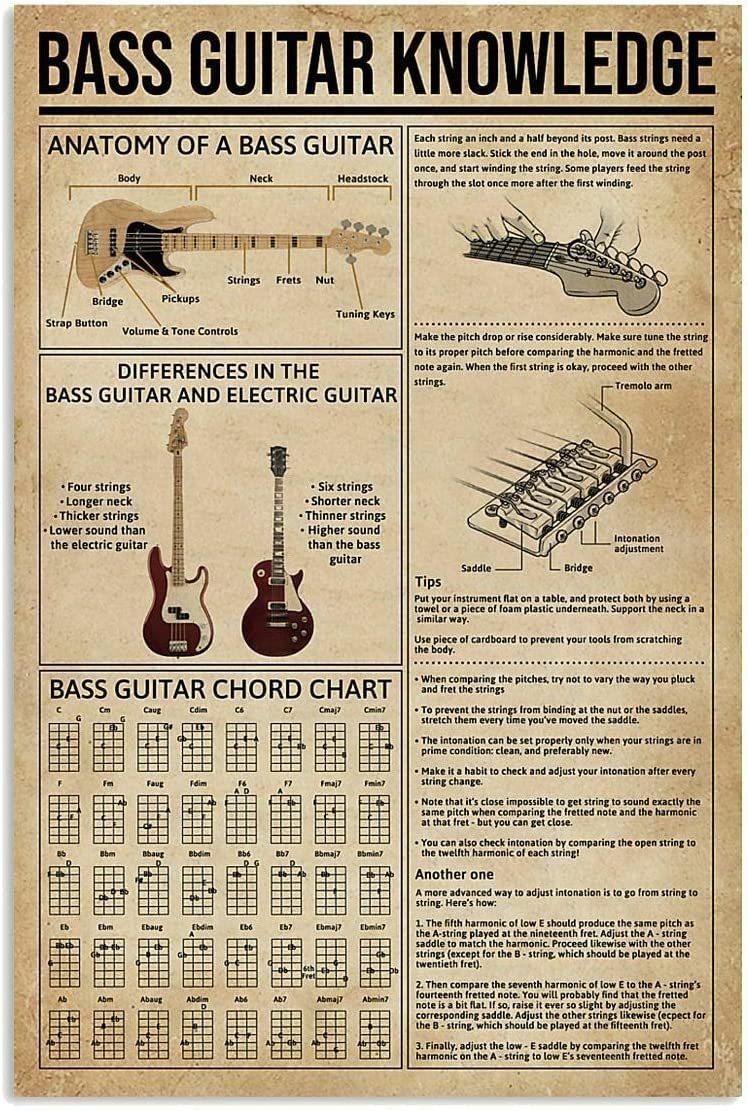rayprint Bass Guitar Knowledge Plaques Guitarist Favorites Metal Sign Wall Aluminum Signs For Music Classroom Guitar Beginner Study Guide Tin Poster Home Club Office Decor 8x12 Inches