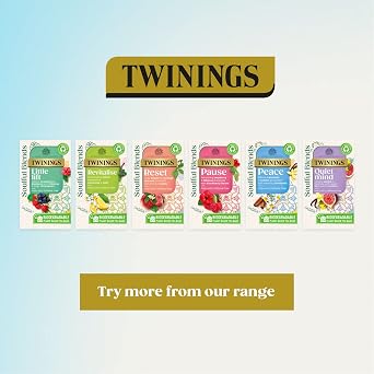 Twinings Soulful Blends Pause Inspired by Ayurveda - Refreshing Raspberry & Hibiscus Herbal Tea Infusion with Blackberry Leaves - 20 x Biodegradable Tea Bags