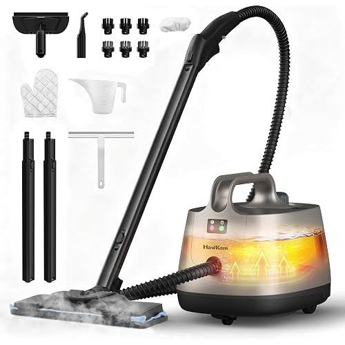 Steam Cleaner Home 293 F 5-Bar product photo (Steam Mops & Floor Cleaners) — ScooterReviewPro review