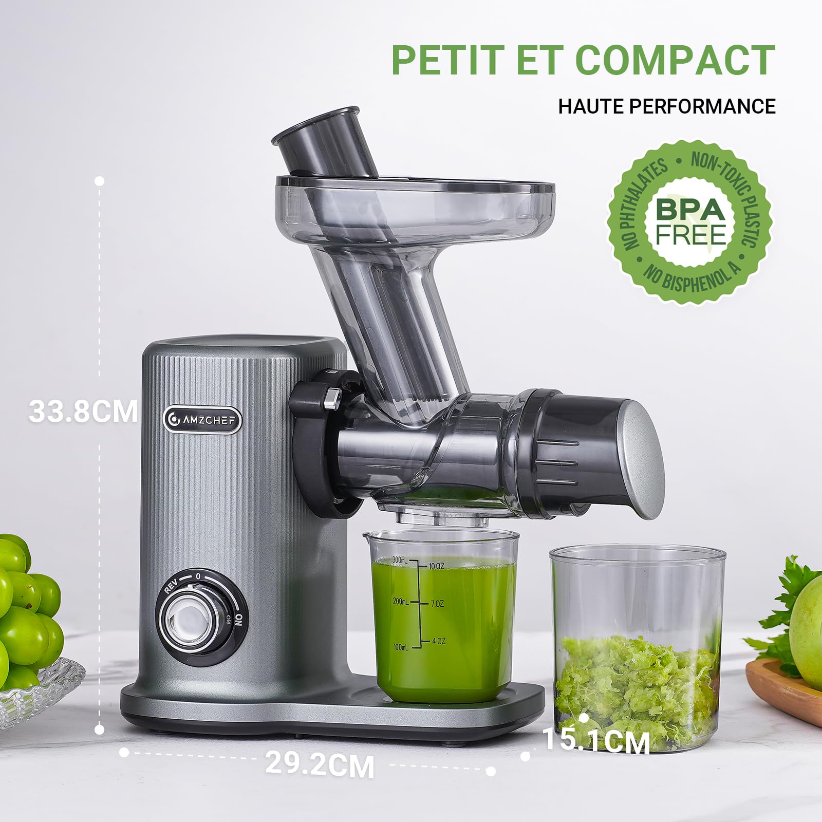 AMZCHEF Extracteur De Jus Compact Silencieux Avec Mastication Inversée - Gris