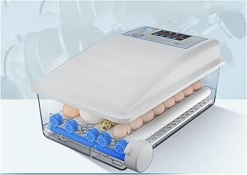 Egg Incubator, Incubator 30 Eggs Automatic Intelligent Incubator, Incubator, Small Household Type Incubator, Chicken, Duck, Goose Egg Incubator Poultry, Pigeons,Game Bird Egg Handling Supplies-1