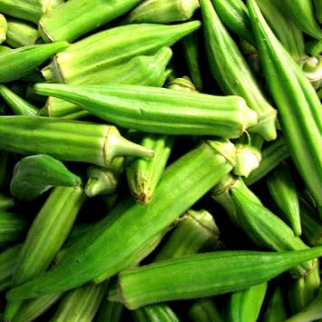 Vegetable Okra - 200 Seeds - Okra Clemson SPINELESS