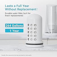 Vista 3 de AQUA CREST Filtro de agua compatible con sistemas de dispensador y jarra Lifestraw® Home, repuesto para filtro de agua Lifestraw®, reduce el cloro