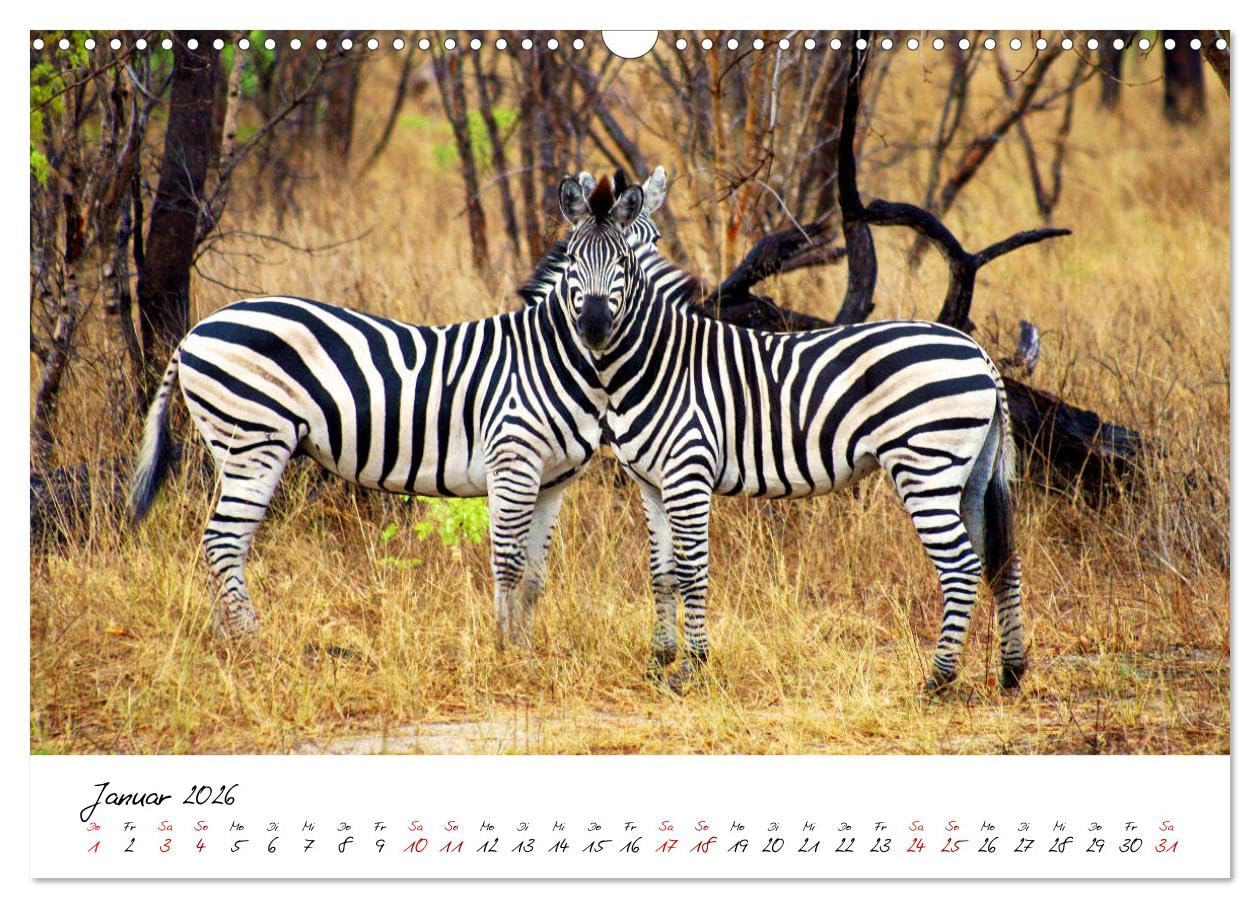 Namibia - Magie der Weite (Wandkalender 2026 DIN A3 quer), CALVENDO Monatskalender: Hochwertiger Fotokalender mit Motiven aus Namibia.