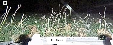 Review Image by D. T. D. T.