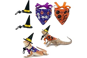 【4 PCS】Bearded Dragon Witch Costume Halloween Christmas Costume for Lizard Lizard Clothing Lizard Supplies