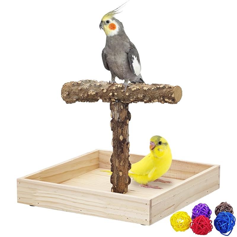 Suporte de Poleiro para Aves em Madeira Natural com Bandeja, BNOSDM XH108-T, 1 unidade