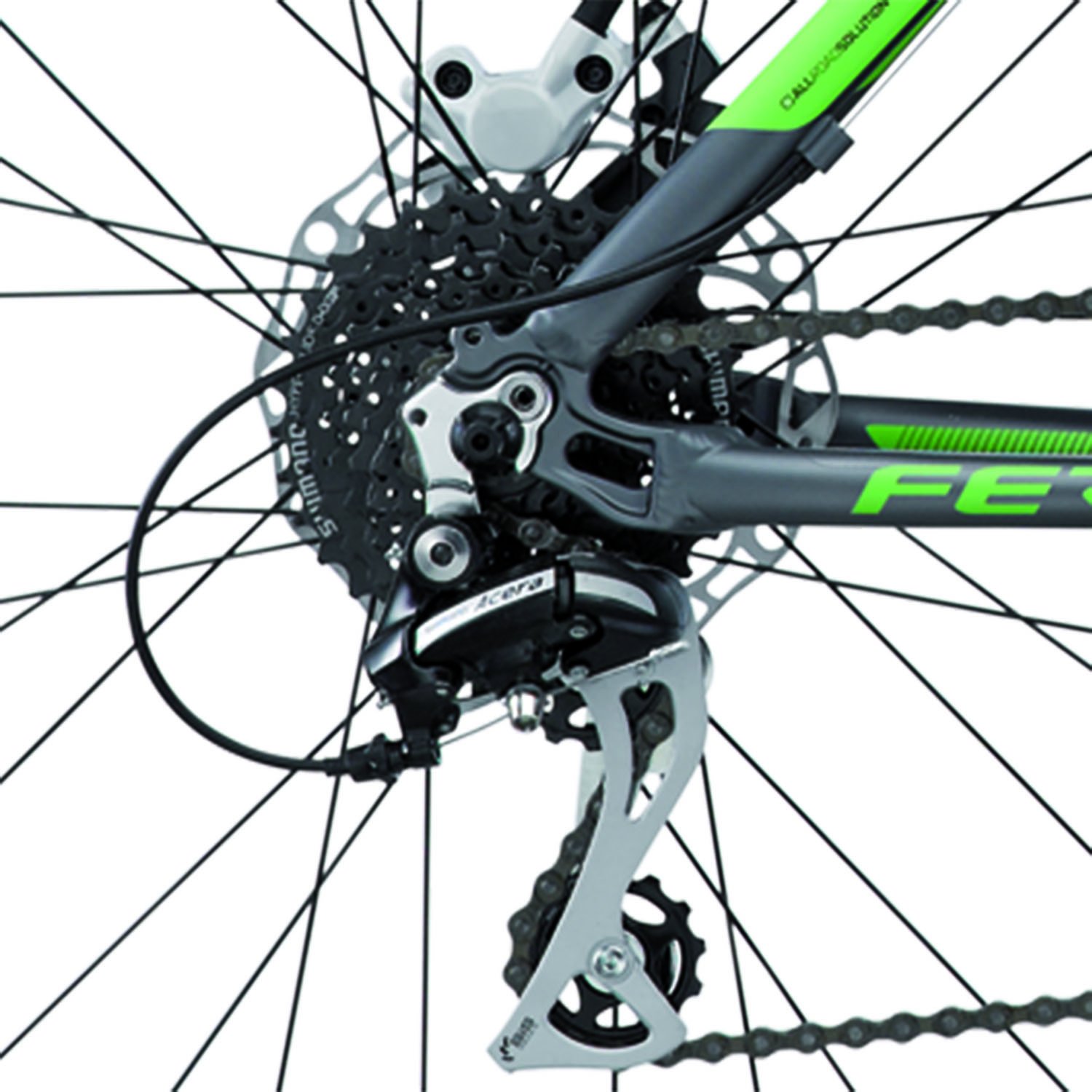 FERRINI BK15FE7326 R3 Hdb Mountain Bike, Grigio : Sport e tempo libero