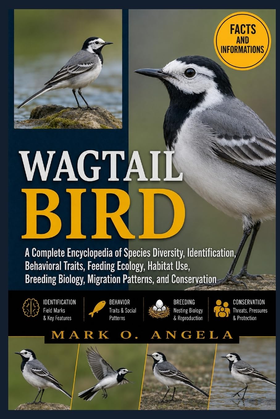WAGTAIL BIRD: A Complete Encyclopedia of Species Diversity, Identification, Behavioral Traits, Feeding Ecology, Habitat Use, Breeding Biology, Migration Patterns, and Conservation
