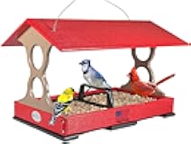JCS Wildlife Cardinal Red and Tan Large Fly Thru Bird Feeder with Removable Seed Tray with Drainage Holes - Holds 8 Cups of Seed - Platform Bird Feeder - Easy to Clean