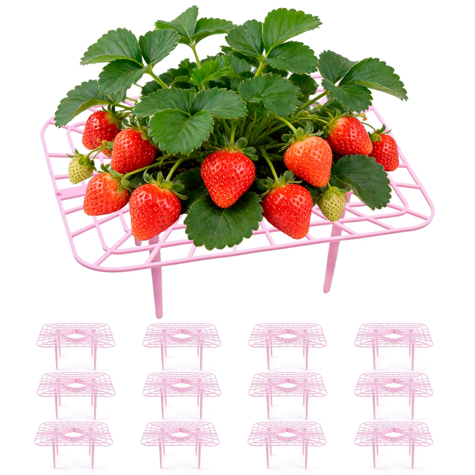 canddy 12 Pcs Garden Strawberry Supports Racks Square Strawberry Growing Racks With 4 Sturdy Legs Strawberry Support Stands Growing Frame To Keep Fruit Elevated To Prevent Strawberry Rot [Pink]