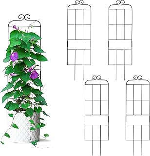 Black Metal Plant Trellis 4 Pack