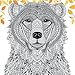 The Menagerie: Animal Portraits to Colour