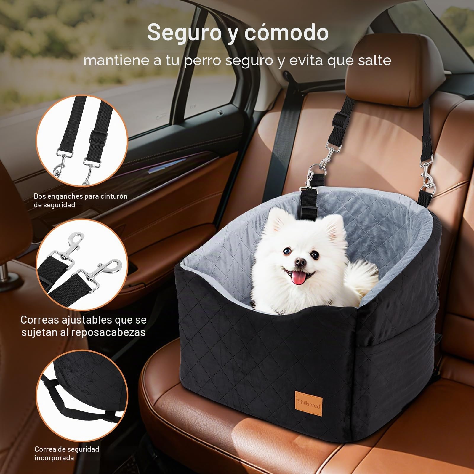Asiento de Coche para Perros medianos de Menos de 13,6 kg, cómodo Asiento de Coche para Cachorro con 2 Correas de Seguridad clipsables, Base Antideslizante para Viajar para Mascotas, Completamente