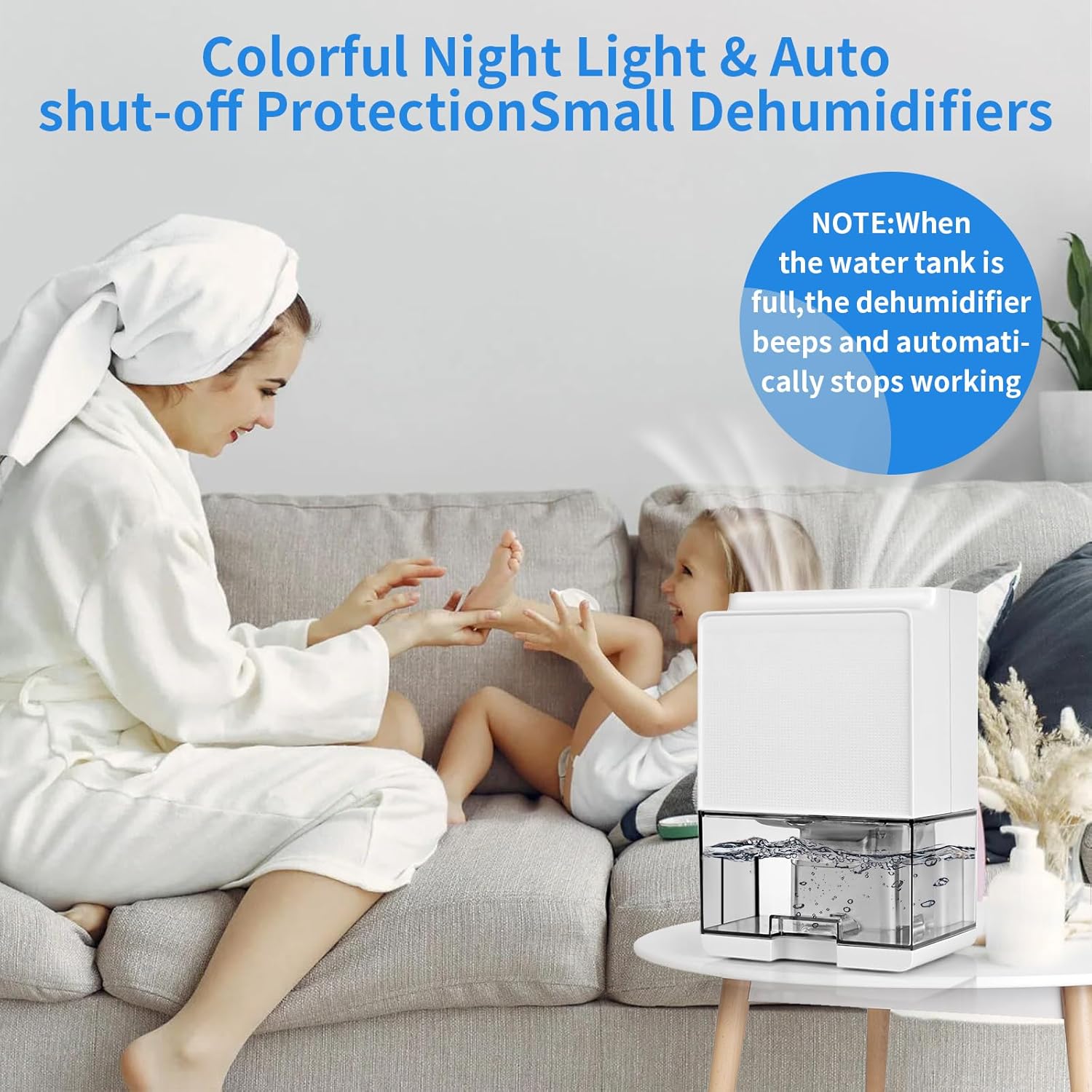 Foto del Deshumidificador