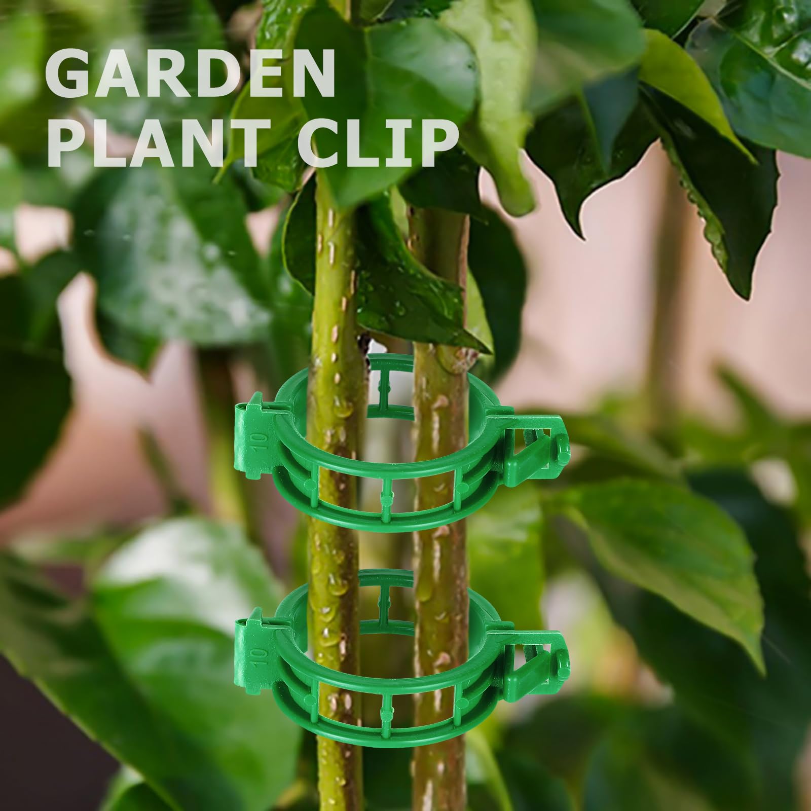 200 Stück Pflanzen-Clips Für Tomaten, Gurken & Mehr – Grüne Stütz-Clips Für Gesundes Wachstum